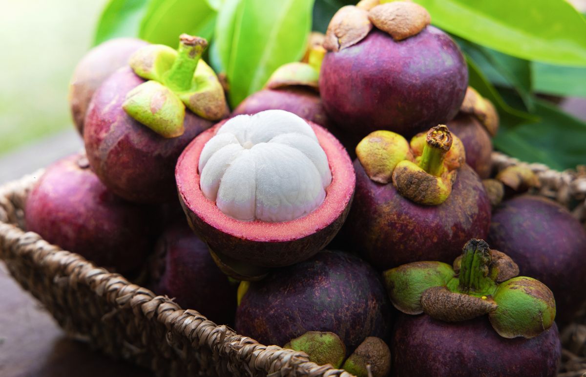 6 Health Benefits of Mangosteen