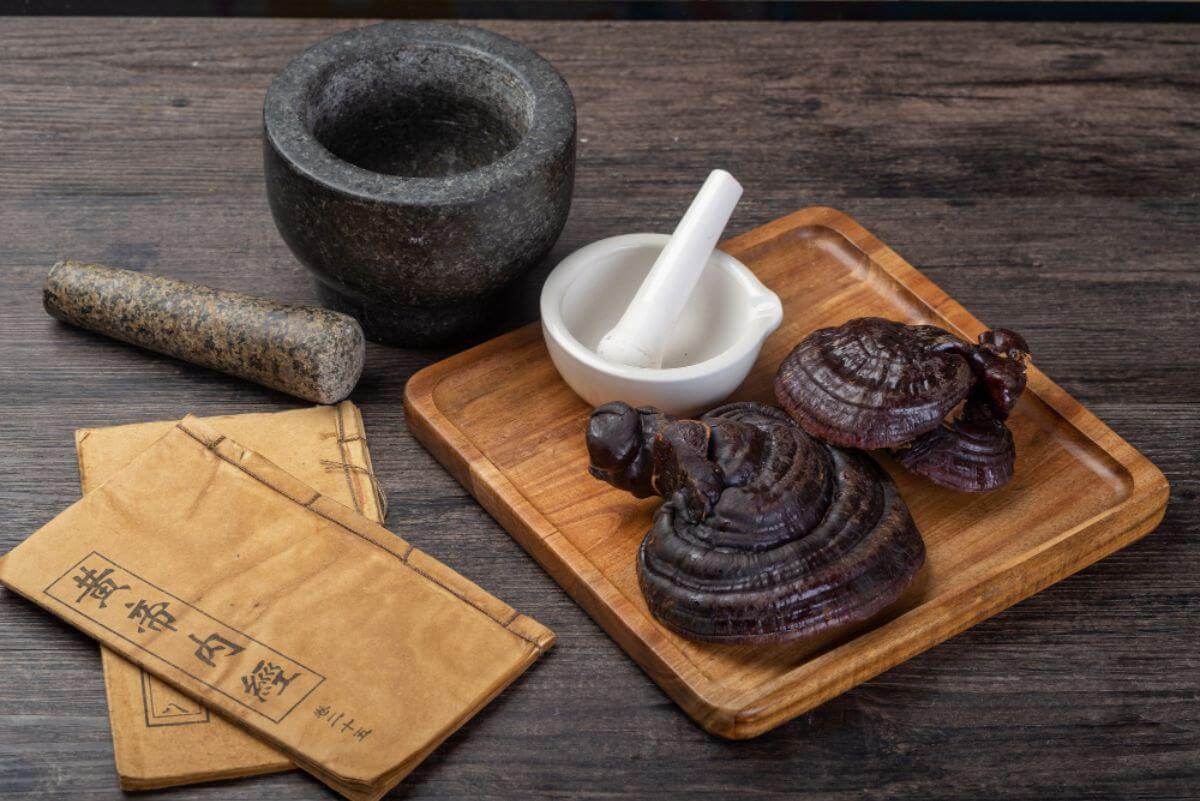 Effects of Drinking Coffee with Ganoderma